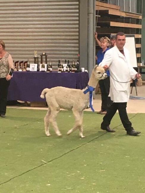 Malakai in the Groove ET