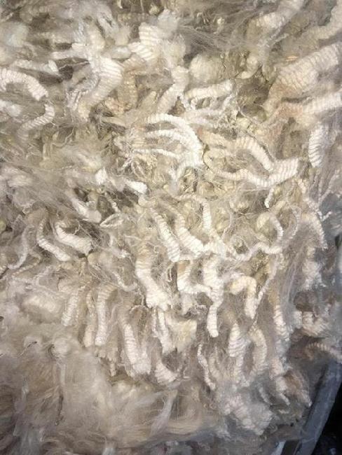 Malakai in the Groove ET